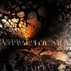 Saturate : Damage the Memory